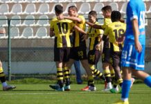 botev plovdiv otbor georgi nikolov