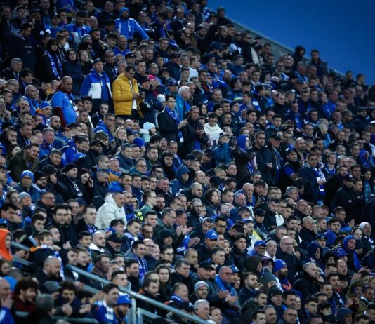 levski fenove