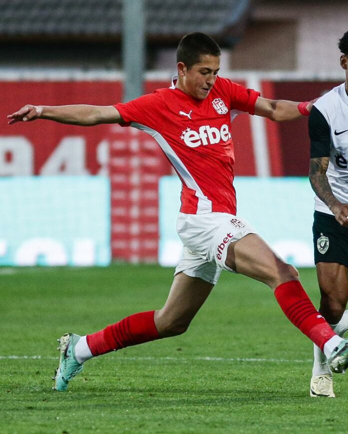 marto boichev marto boichev