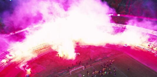 minior pernik fenove 1