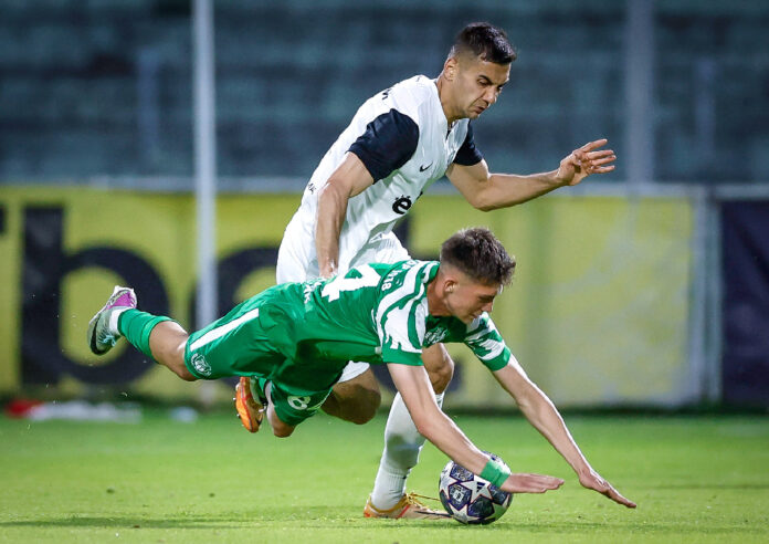 ludogorets hebar