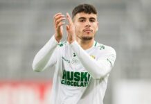 edvin kurtulush
