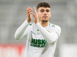 edvin kurtulush