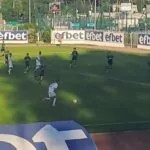 nesebar neftohimik