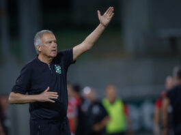 georgi dermendjiev
