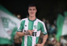 kevin seihas