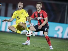 lokomotiv sofiq gonsalo kardoso