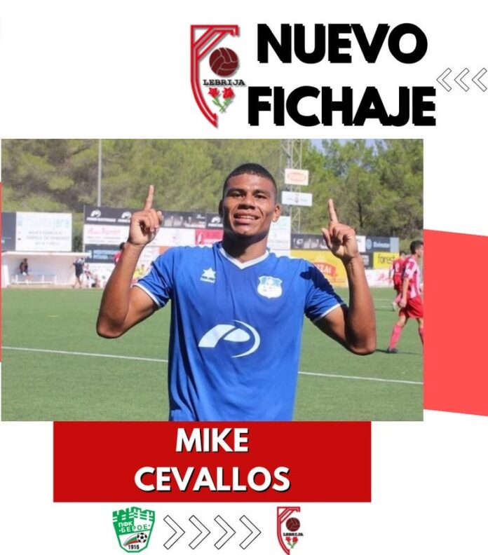 mikecevallos mikecevallos