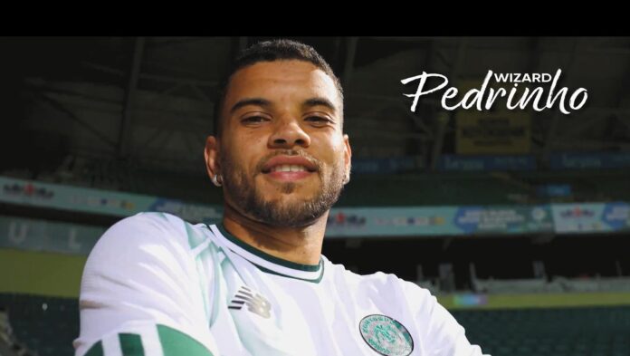 pedrinho pedrinho