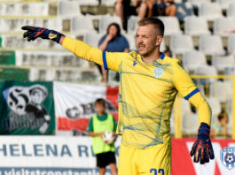 plamen iliev