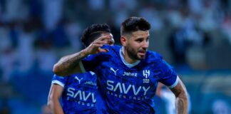 aleksandar mitrovich