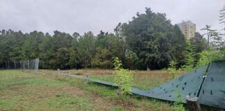 592bc773 a979 4893 8df1 56b75bcb15b7