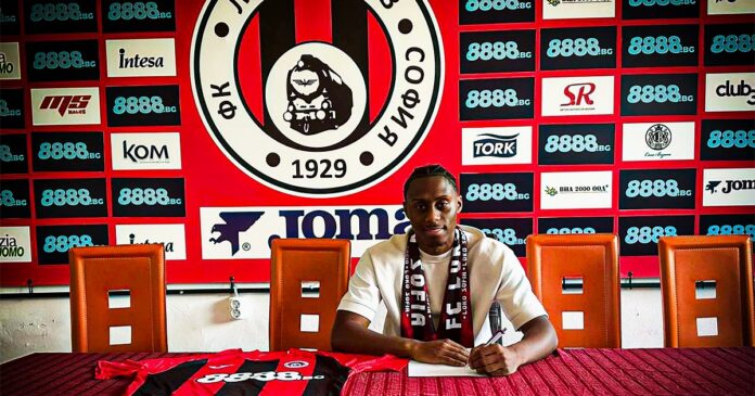 djani dos santos djani dos santos