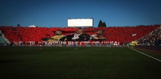 cska fenove