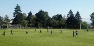 b1b90a5e f3e6 43a6 948e 9f3da3d4703a 1024x578.jpeg