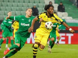 ludogorets botev plovdiv vini tribule