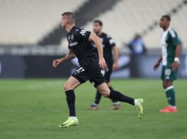 DESPODOV PAOK