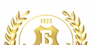 bdin logo