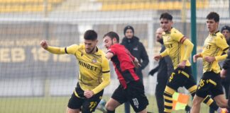 botev plovdiv 2 dubal