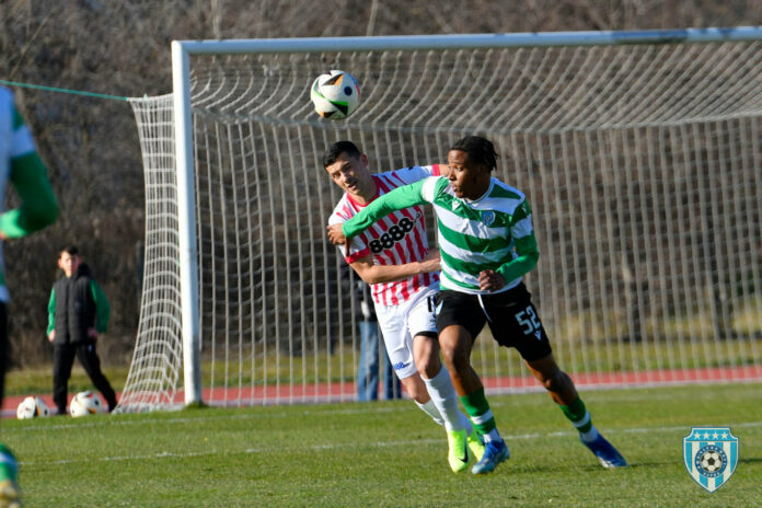 diogo diogo