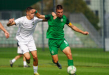 filip gigov