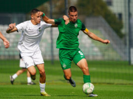 filip gigov
