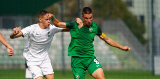 filip gigov