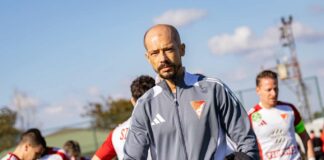 nestor el maestro