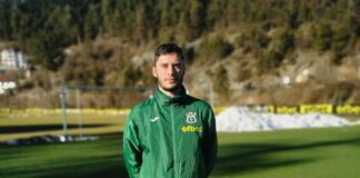 nikola gavov