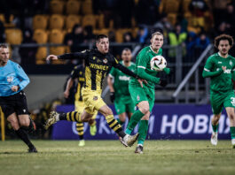 botev plovdiv ludogorets qkub piotrovski