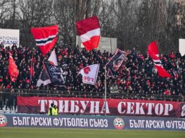 cska fenove