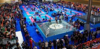 evropeyska kupa kikboks