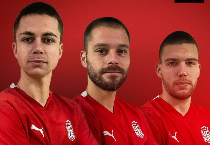mario petkov kristian andonov martin qnkov mario petkov kristian andonov martin qnkov