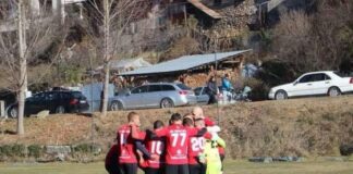AVANGARD