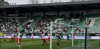 piotrovski