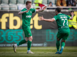 aslak fon vitri erik markus
