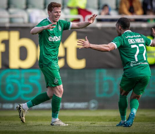 aslak fon vitri erik markus