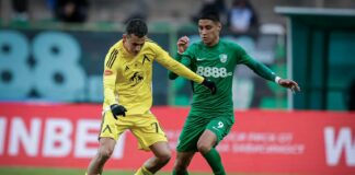 beroe levski leandro dogoi georgi kostadinov