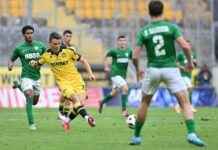 botev plovdiv beroe qnis karabeliov
