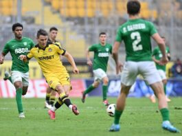 botev plovdiv beroe qnis karabeliov