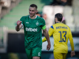 qkub piotrovski
