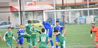 chernomoretz rodopa (11)