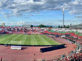 cska fenove