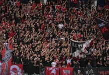 cska fenove