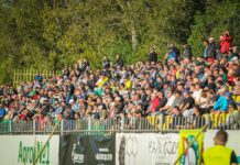 Добруджа очаква рекорд по посещаемост dobrudja fenove