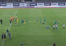 ludogorets