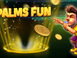 PALMS fun clean viziq