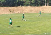 chernomoretz beroe (12)