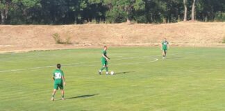 chernomoretz beroe (12)