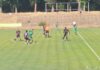 chernomoretz beroe (15)